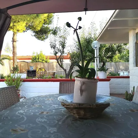 Rhaele טאראנטו